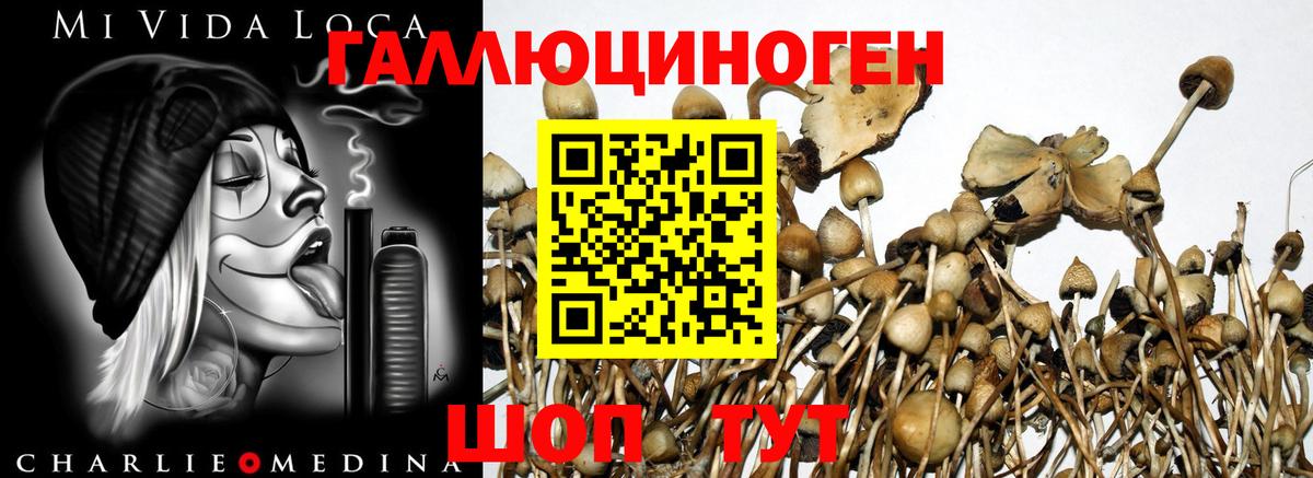 Галлюциногенные грибы MAGIC MUSHROOMS Кузнецк