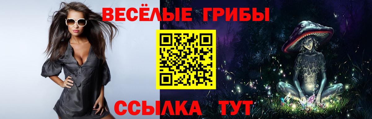 Кузнецк  Псилоцибиновые грибы GOLDEN TEACHER  Вход с VPN 